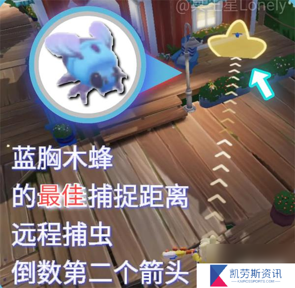 心动小镇蓝胸木蜂在哪里 蓝胸木蜂具体位置一览