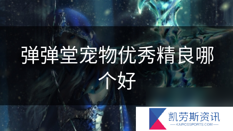 弹弹堂宠物优秀精良哪个好