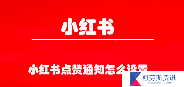 小红书点赞通知怎么设置-点赞通知设置方法教程