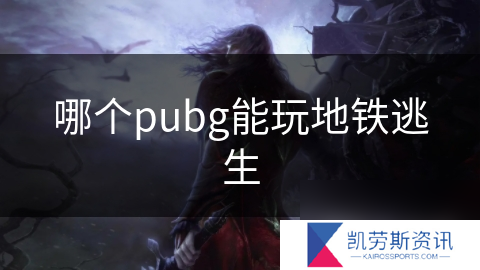 哪个pubg能玩地铁逃生
