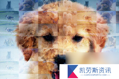 PS照片马赛克拼图效果制作方法自动表功能了解下