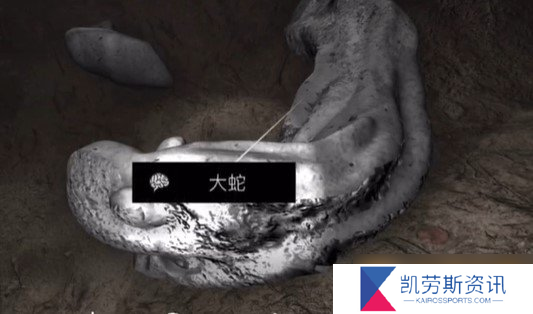 《孙美琪疑案：浮生若梦》四级线索——大蛇