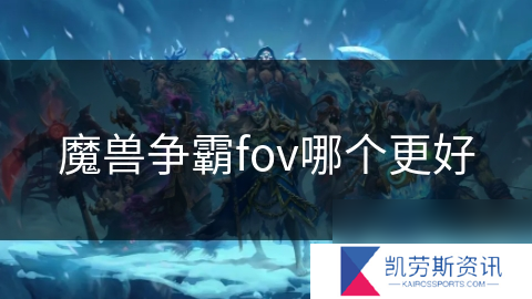 魔兽争霸fov哪个更好