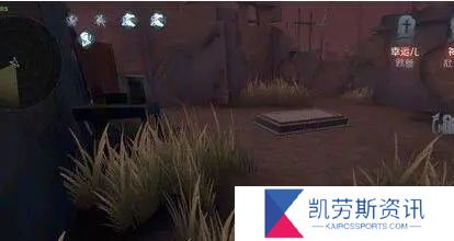 第五人格黑天鹅之羽抽取的奖励和效果是什么